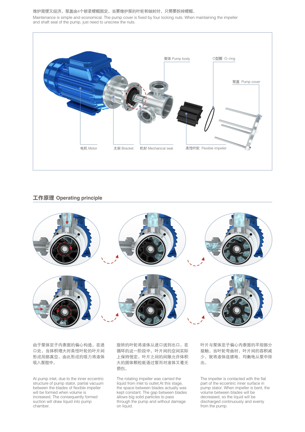 Donjoy Hygienic Flexible Impeller Pump in China